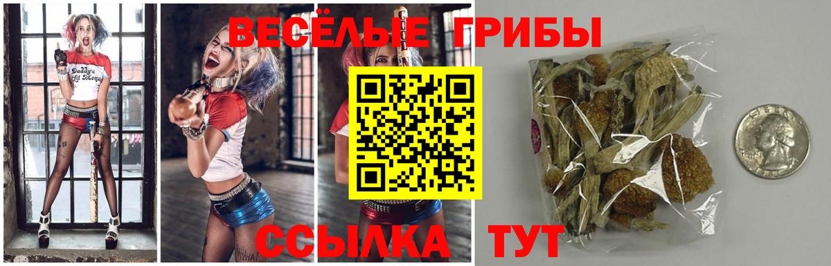 Тулун  Псилоцибиновые грибы Cubensis  Вход с VPN  Галлюциногенные грибы ЛСД 